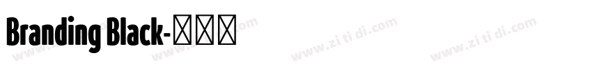 Branding Black字体转换